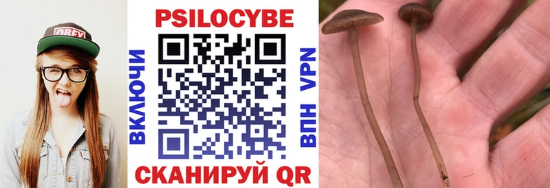 Галлюциногенные грибы ЛСД Звенигово