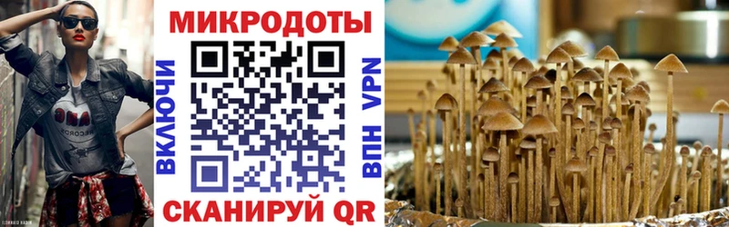 дарнет шоп  Звенигово  Псилоцибиновые грибы мухоморы 